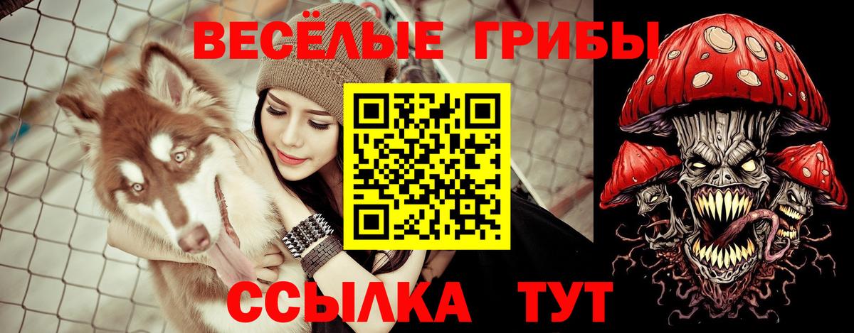 Галлюциногенные грибы ЛСД Чернушка