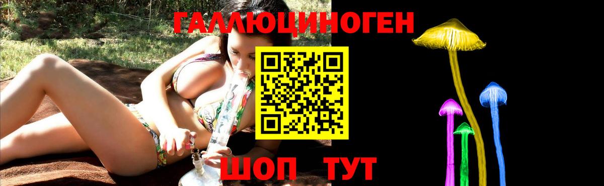 Чернушка  Псилоцибиновые грибы Psilocybine cubensis  Вход с VPN 